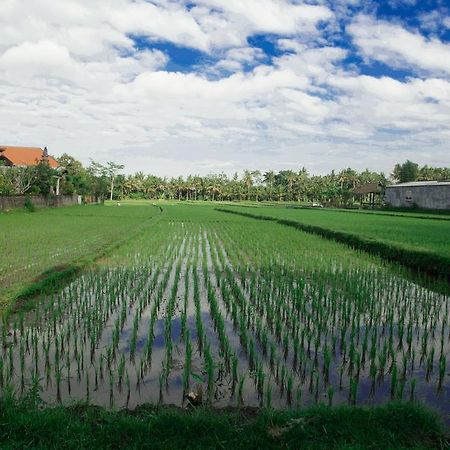 Canang Sari House Ubud Exterior foto
