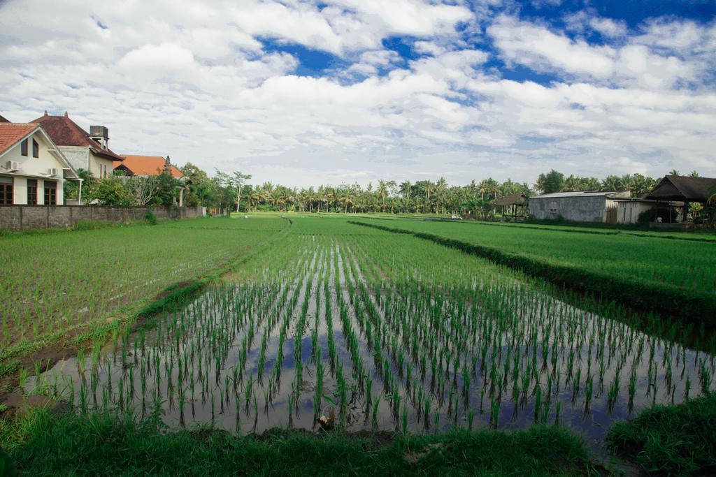 Canang Sari House Ubud Exterior foto